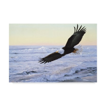 Ron Parker 'Ocean Dawn Eagle' Canvas Art,30x47